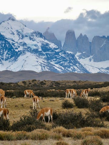 Chile (Claro, Movistar)