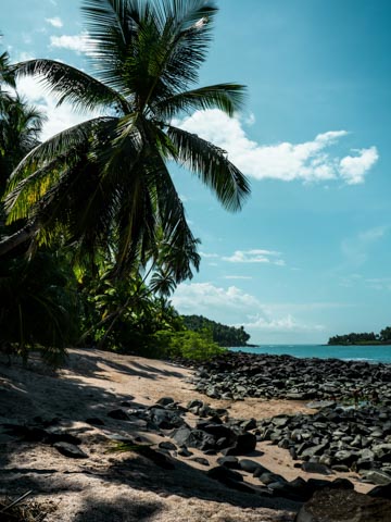 French Guiana (Bouygues, Digicel)