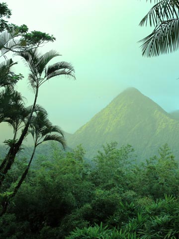 Martinique (Digicel)