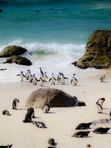 South Africa (Telkom SA)